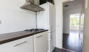 Te huur Studio Broekslootkade in Den Haag, 20 tot 35 m², Den Haag