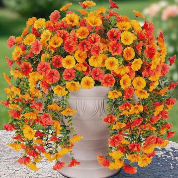 Hangende Kunstbloemen Slanke Klimop - Ochtendgloren Bloemen, Verzenden, Nieuw