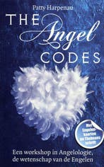 Boek The angel codes 9789045200071, Verzenden, Zo goed als nieuw