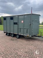 Prachtige pony koetsentrailer! 4 pony’s! Met lier!, Dieren en Toebehoren, Paarden en Pony's | Trailers en Aanhangwagens, Ophalen