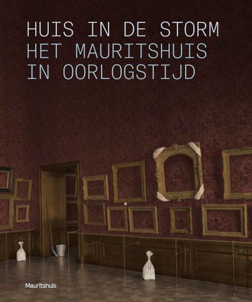 Huis in de storm - Quinten Buvelot 9789462626027, Boeken, Verzenden, Gelezen, Quinten Buvelot