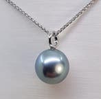 Zonder minimumprijs - Hanger Zilver - 9×10 mm Tahitiaanse