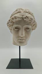 sculptuur, Testa di Atena - 34 cm - marmerstof