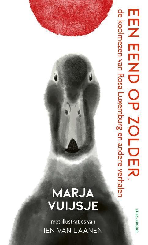 Een eend op zolder 9789045049687 Marja Vuijsje, Boeken, Wetenschap, Zo goed als nieuw, Verzenden