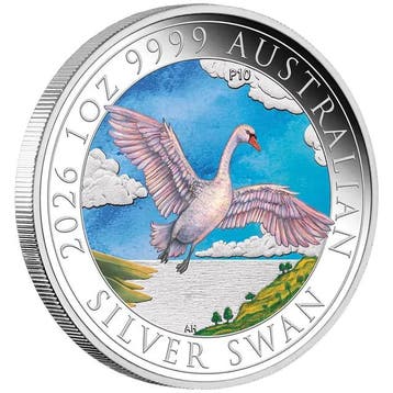 Swan 1 oz 2026 coloured (1.500 oplage), Verzenden, Losse munt, Zilver