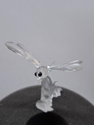 Swarovski - Beeldje - Swarovski Libelle 190264 - Kristal