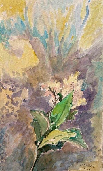 Claire Szilard (1920-2017) - Botanical Abstraction, Antiek en Kunst, Kunst | Schilderijen | Modern
