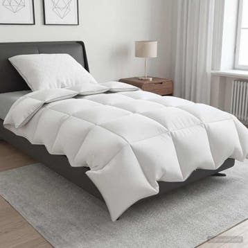 vidaXL 90% ganzen dons dekbedset FULDA 2 st 150 x 200 cm 210, Verzenden, Nieuw, Wit