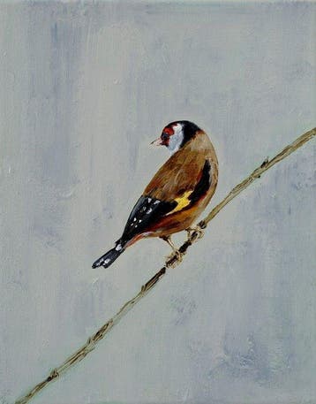 Matthieu van Riel - Distelvink