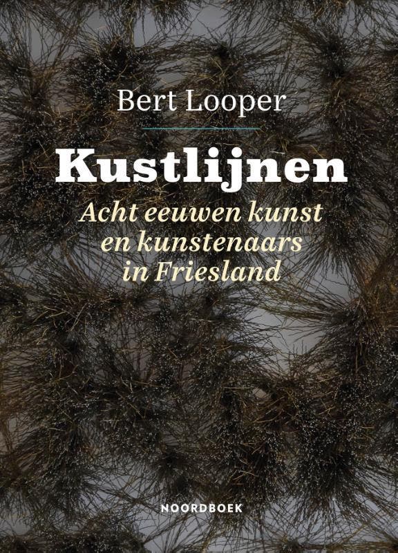 Kustlijnen 9789464710748 Bert Looper, Boeken, Kunst en Cultuur | Beeldend, Zo goed als nieuw, Verzenden
