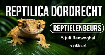 Reptielenbeurs DORDRECHT  5 juli 2026, Dieren en Toebehoren, Overige soorten, Met terrarium