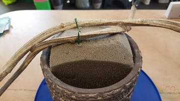 Cement bloempot 13,5x15 cm, Huis en Inrichting, Woonaccessoires | Kunstplanten en Kunstbloemen, Ophalen of Verzenden, Nieuw