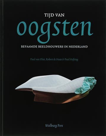 Tijd van oogsten 9789057304583 P. van Vliet, Verzenden, Zo goed als nieuw, P. van Vliet