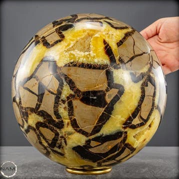 Septarische bol met druse – Uitzonderlijk natuurkunstwerk