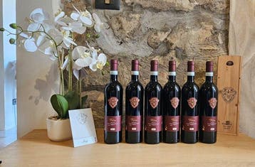 2023 Paolo Magi, Vion Merlot Cortona - Toscane - 6 Flessen, Nieuw