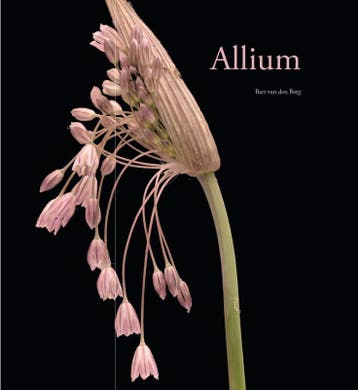 Allium | Bart Berg | Nieuw, Boeken, Ophalen of Verzenden, Nieuw, Bart Berg