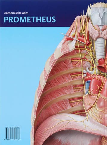 Hals en inwendige organen / Prometheus anatomische atlas / 3, Verzenden, Zo goed als nieuw, E. Schulte