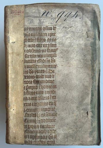 Horatio Nucula - Commentariorum de bello Aphrodisiensi libri