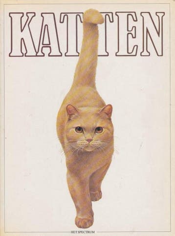 KATTEN - BRUIN 9789027418746, Verzenden, Gelezen, BRUIN