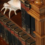 Zeer hoge smalle open boekenkast blond noten verstelbare pla, Antiek en Kunst, Ophalen of Verzenden