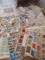 Wereld - Verzameling gesorteerde postzegels uit de hele, Gestempeld