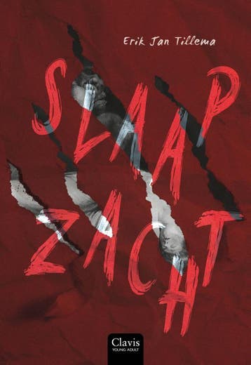 Slaap Zacht | Erik Jan Tillema | Nieuw, Ophalen of Verzenden, Nieuw, Erik Jan Tillema