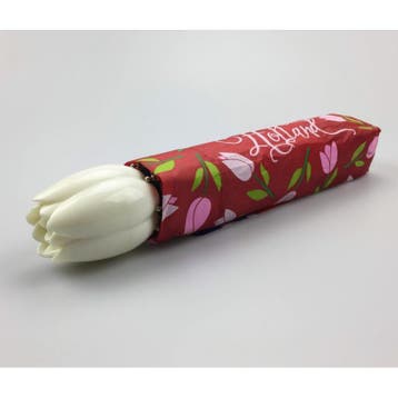 Paraplu Holland tulpen compilatie, Ophalen of Verzenden, Nieuw