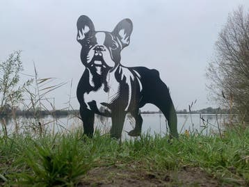 Franse Bulldog - Levensecht, Verzenden, Nieuw