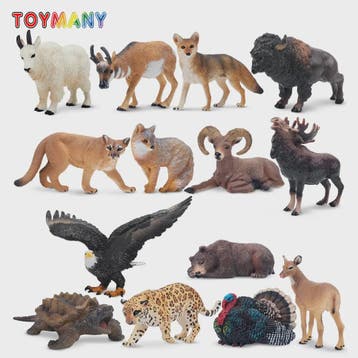 Toymany Noord-Amerikaanse Dieren Speelgoedset - 14 Realistis