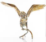 Hawk - Beeldje - Staal