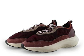 The Hoff Brand Sneakers in maat 41 Paars, Kleding | Dames, Overige kleuren, Verzenden, The Hoff Brand, Sneakers of Gympen