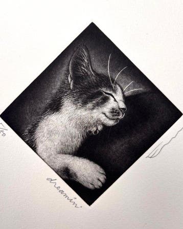 Limited Cat series Dreamin’  - Limited 15/50 - NO RESERVE