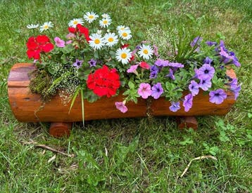 artigianale - Bloempot - Hout