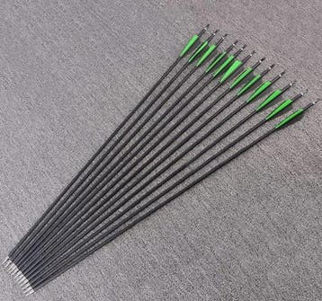 Set Carbon Pijlen SP500 - 6/12 Stuks - Verwisselbare Punts -, Verzenden, Nieuw