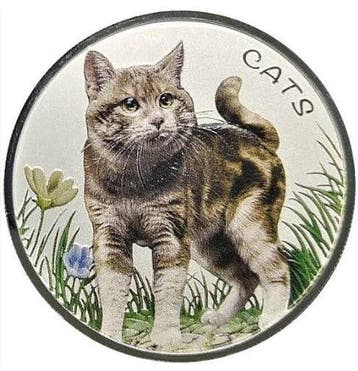 Fiji Cats 1 oz 2022 Coloured, Postzegels en Munten, Verzenden, Losse munt, Zilver