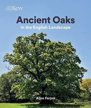 Ancient Oaks - Aljos Farjon 9781842466407, Verzenden, Zo goed als nieuw, Aljos Farjon