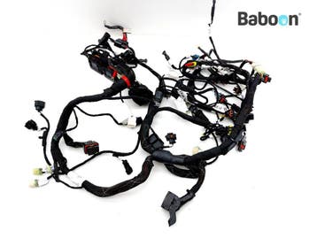 Kabelboom Ducati Multistrada 950 2019-2020 (5101E971B), Motoren, Onderdelen | Ducati, Verzenden, Gebruikt