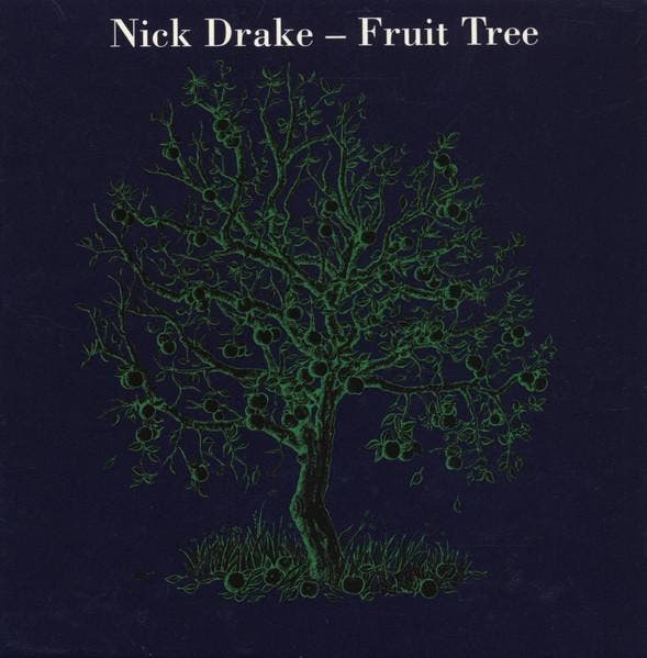 cd box - Nick Drake - Fruit Tree, Cd's en Dvd's, Cd's | Pop, Zo goed als nieuw, Verzenden