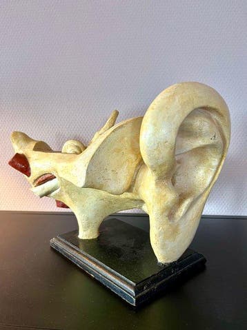 Anatomisch model - papiermaché / gips - 1910-1920 -