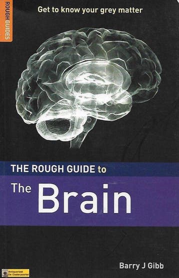 The Rough Guide to the Brain - Barry Gibb 9781843536642, Boeken, Verzenden, Zo goed als nieuw, Barry Gibb