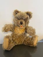 Steiff - Teddybeer Zotty - 1950-1960 - Duitsland, Antiek en Kunst, Antiek | Speelgoed