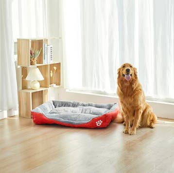 Hondenmand Diverse Kleuren | Wasbaar en Nieuw | 54 tot 95cm, Verzenden, Nieuw, Katoen