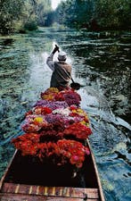 Steve McCurry (1950–) - Flower Seller. Dal Lake, Srinagar,