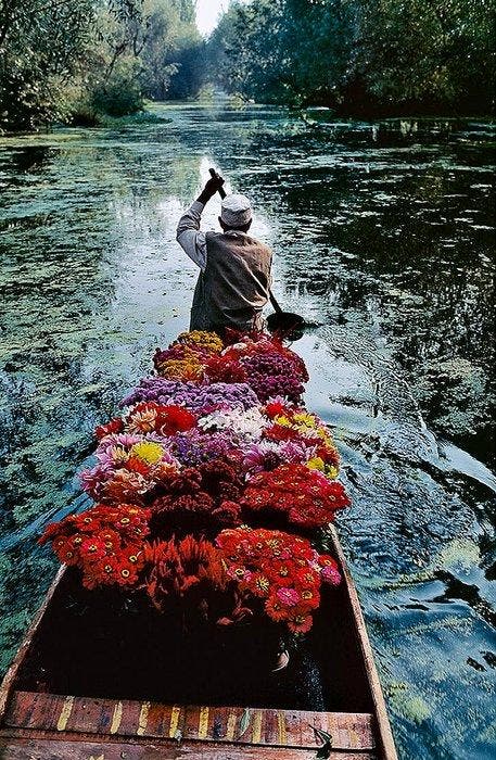 Steve McCurry (1950–) - Flower Seller. Dal Lake, Srinagar,, Antiek en Kunst, Kunst | Designobjecten