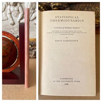 Erwin Schrodinger - Statistical Thermodynamics. Course of, Antiek en Kunst