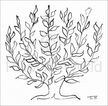 Kunstdruk Henri Matisse - Le platane 100x100cm, Verzenden, Nieuw