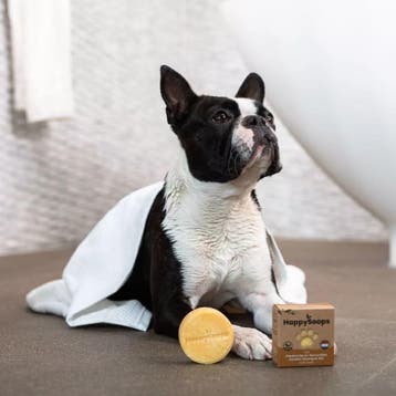 HappySoaps Honden Korte Vacht Shampoo Bar - 70g, Ophalen of Verzenden, Nieuw, Shampoo of Conditioner