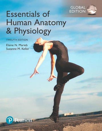 9781292216119 Essentials of Human Anatomy  Physiology, Gl..., Verzenden, Zo goed als nieuw, Elaine Marieb