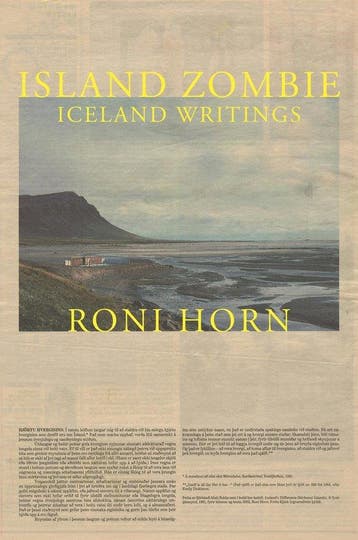 9780691208145 Island Zombie - Iceland Writings, Verzenden, Gelezen, Roni Horn