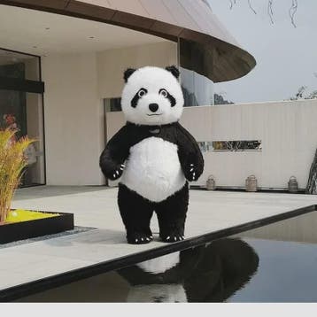 Opblaasbaar Panda Kostuum - Volwassen Maat voor Feestjes, Ha, Hobby en Vrije tijd, Verzenden, Nieuw